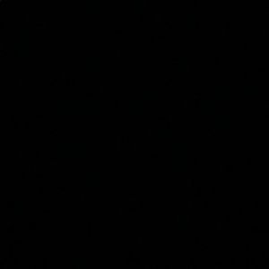 Meet your Posher, Luis